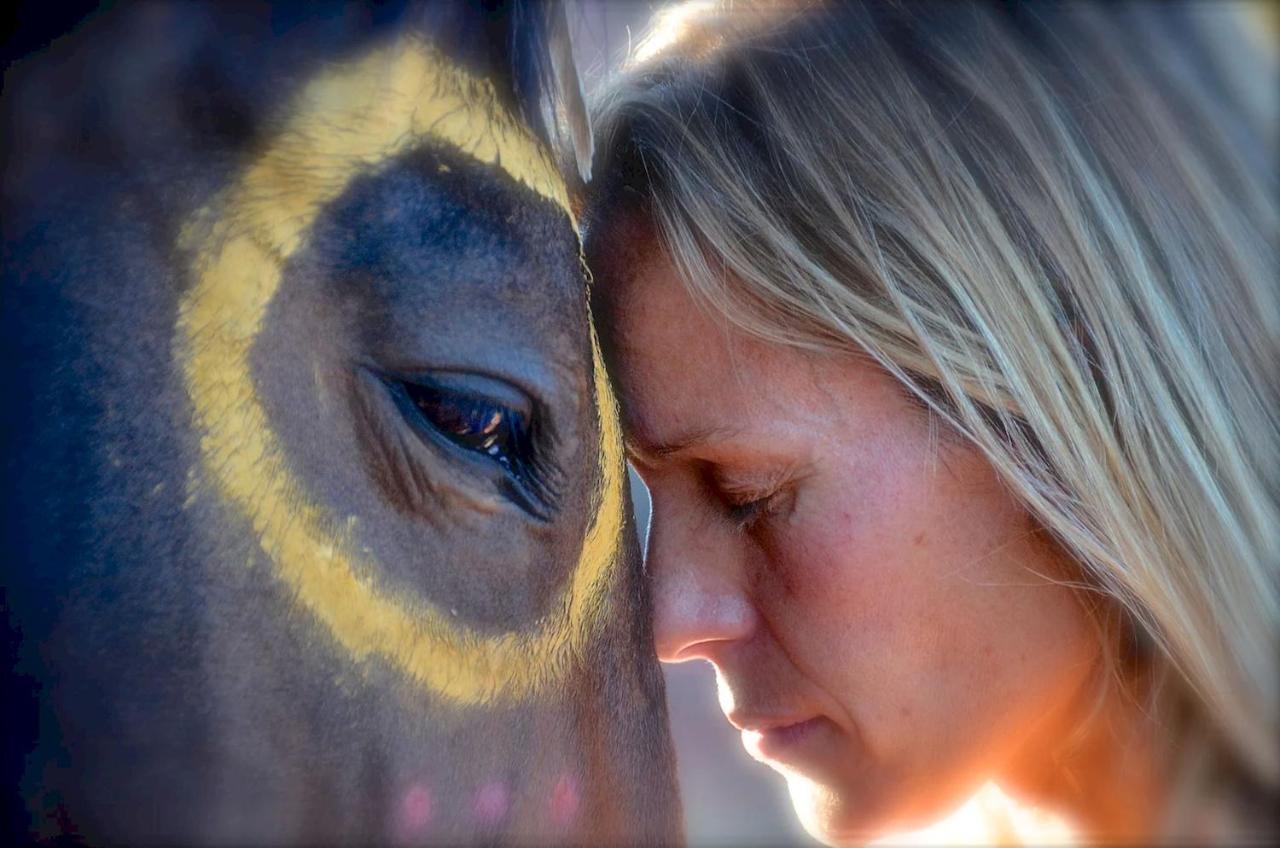 The Mountain Lion - Horses Sedona'S Most Loved 外观 照片