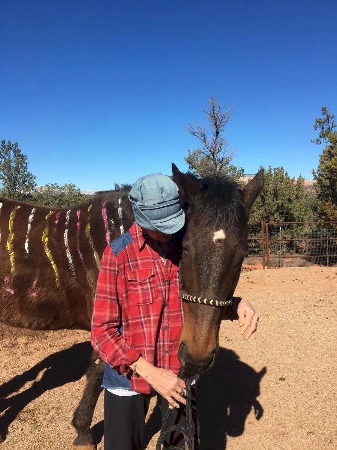 The Mountain Lion - Horses Sedona'S Most Loved 外观 照片