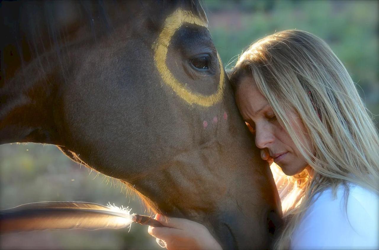 The Mountain Lion - Horses Sedona'S Most Loved 外观 照片
